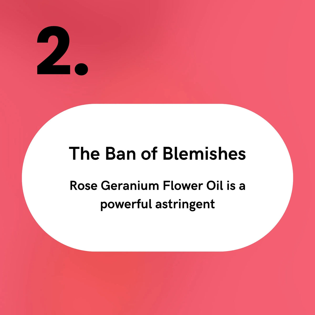 Rose Geranium Flower Oil - The Ban of Blemishes