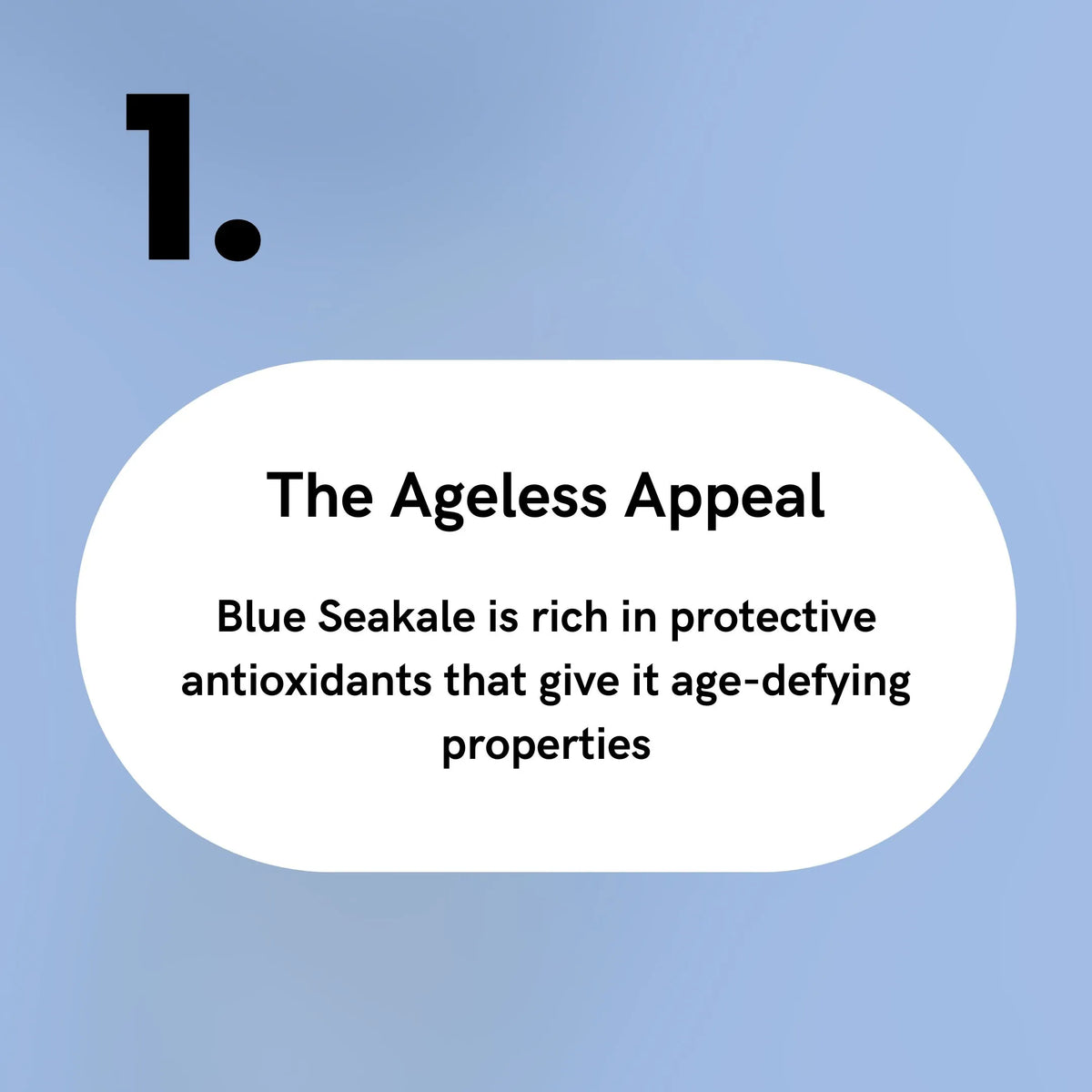 Blue Seakale - The Ageless Appeal
