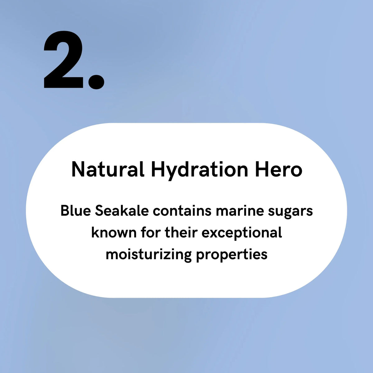 Blue Seakale - Natural Hydration Hero