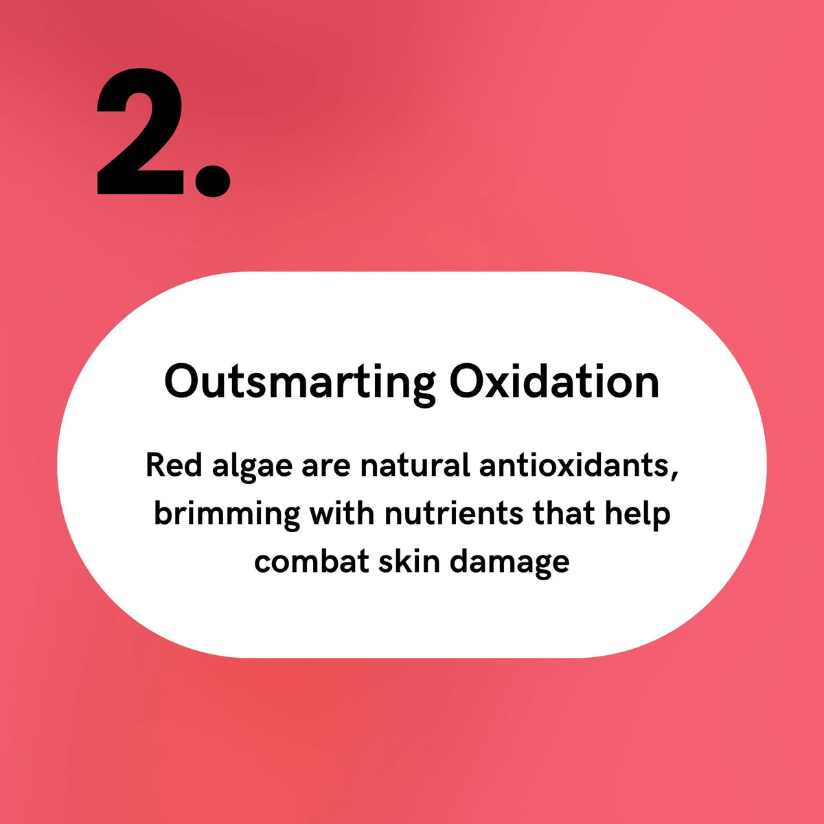 Red Algae - Outsmarting Oxidation