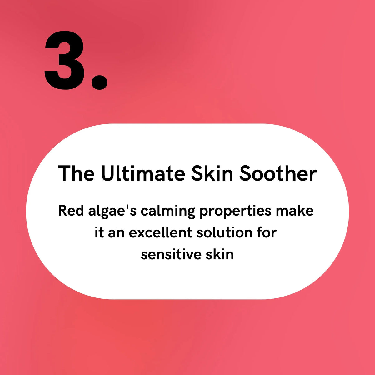 Red Algae - The Ultimate Skin Soother
