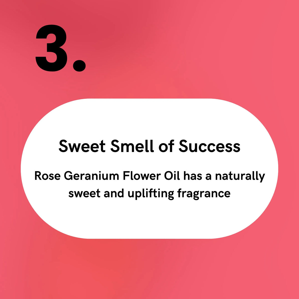 Rose Geranium Flower Oil - Sweet Smell of Success